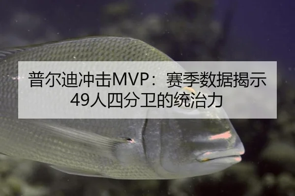 普尔迪冲击MVP：赛季数据揭示49人四分卫的统治力